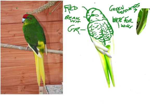 Creation of Jungle Life: Step 6